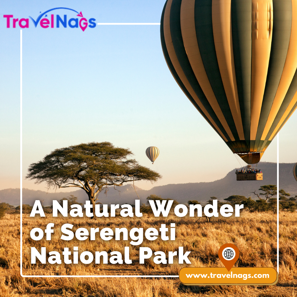Discovering the Natural Wonder of Serengeti National Park: A Journey Through Wildlife and Beauty