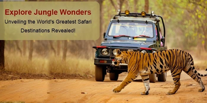 The World's Greatest Locations for Jungle Safari