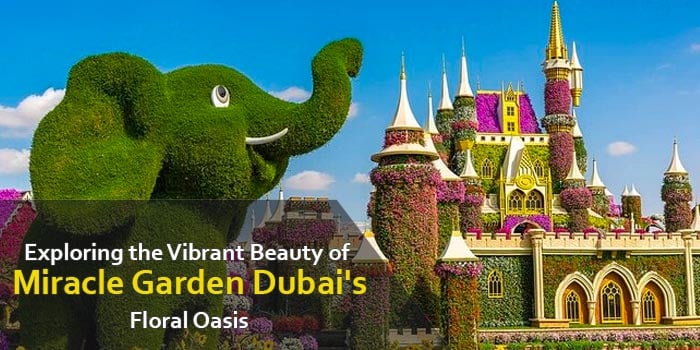 Miracle Garden Dubai- World's Largest Flower Garden