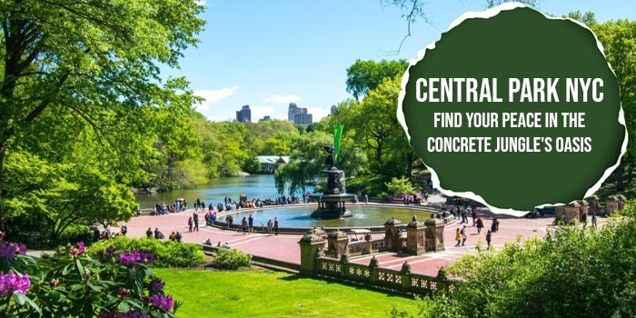 Central Park: Escape the NYC Hustle in this Urban Oasis