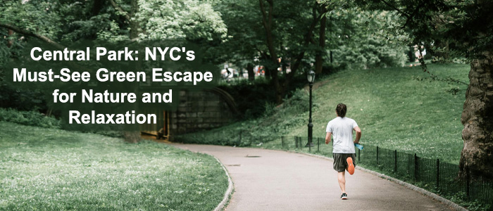 Central Park: NYC's Green Escape You Gotta See