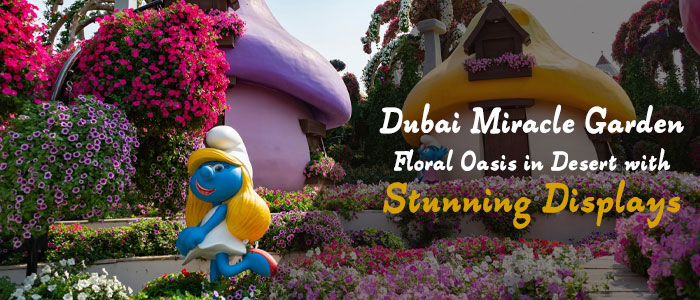 Dubai Miracle Garden: A Floral Oasis in the Middle of the Desert