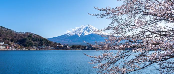 Snow-capped Mount Fuji rises behind a calm blue lake, framed by blooming cherry blossoms on the right. The scene is serene and picturesque.