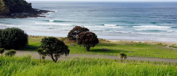 A grassy hillside overlooks a beach and ocean, creating a serene coastal landscape.