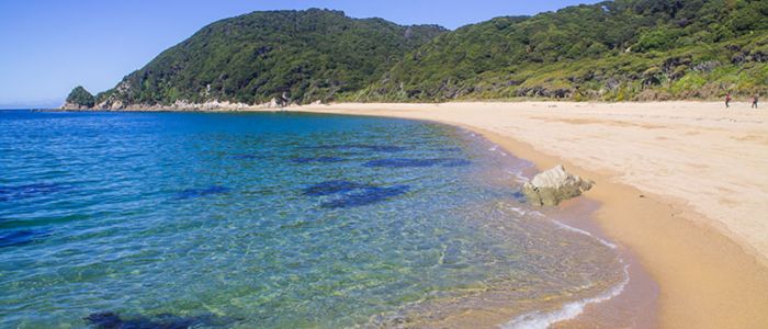 A sandy beach with clear blue water and lush green trees lining the shore under a bright sky.