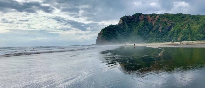 A scenic beach featuring black sand and gentle waves lapping at the shore under a clear blue sky.