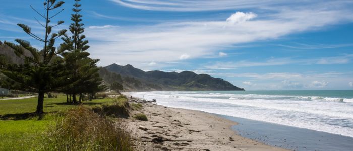A serene beach scene featuring grass and trees lining the shore under a clear blue sky.