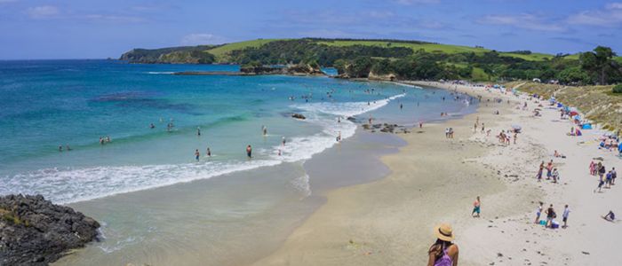 A crowded beach filled with people enjoying the sun under a clear blue sky.