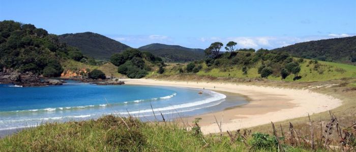 A scenic beach featuring a sandy shore bordered by lush grassy hills under a clear blue sky.