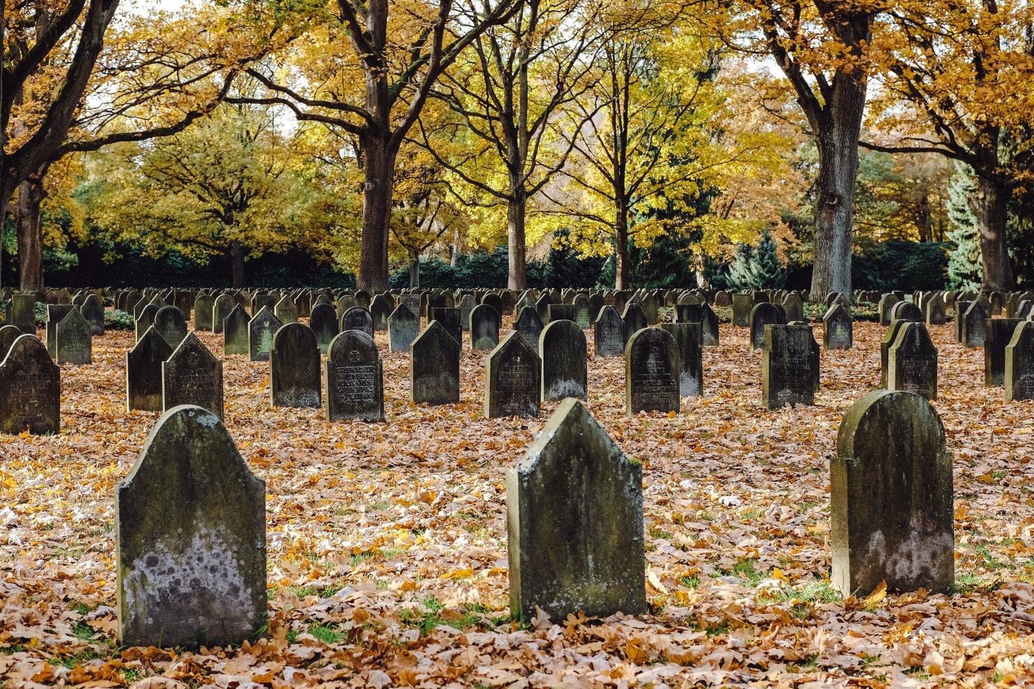 Bachelor's Grove Cemetery Illinois