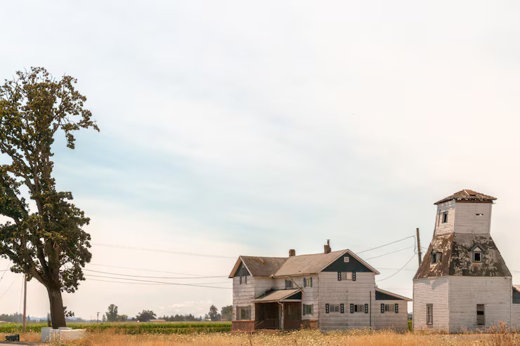 peaceful-little-farm-field-countryside