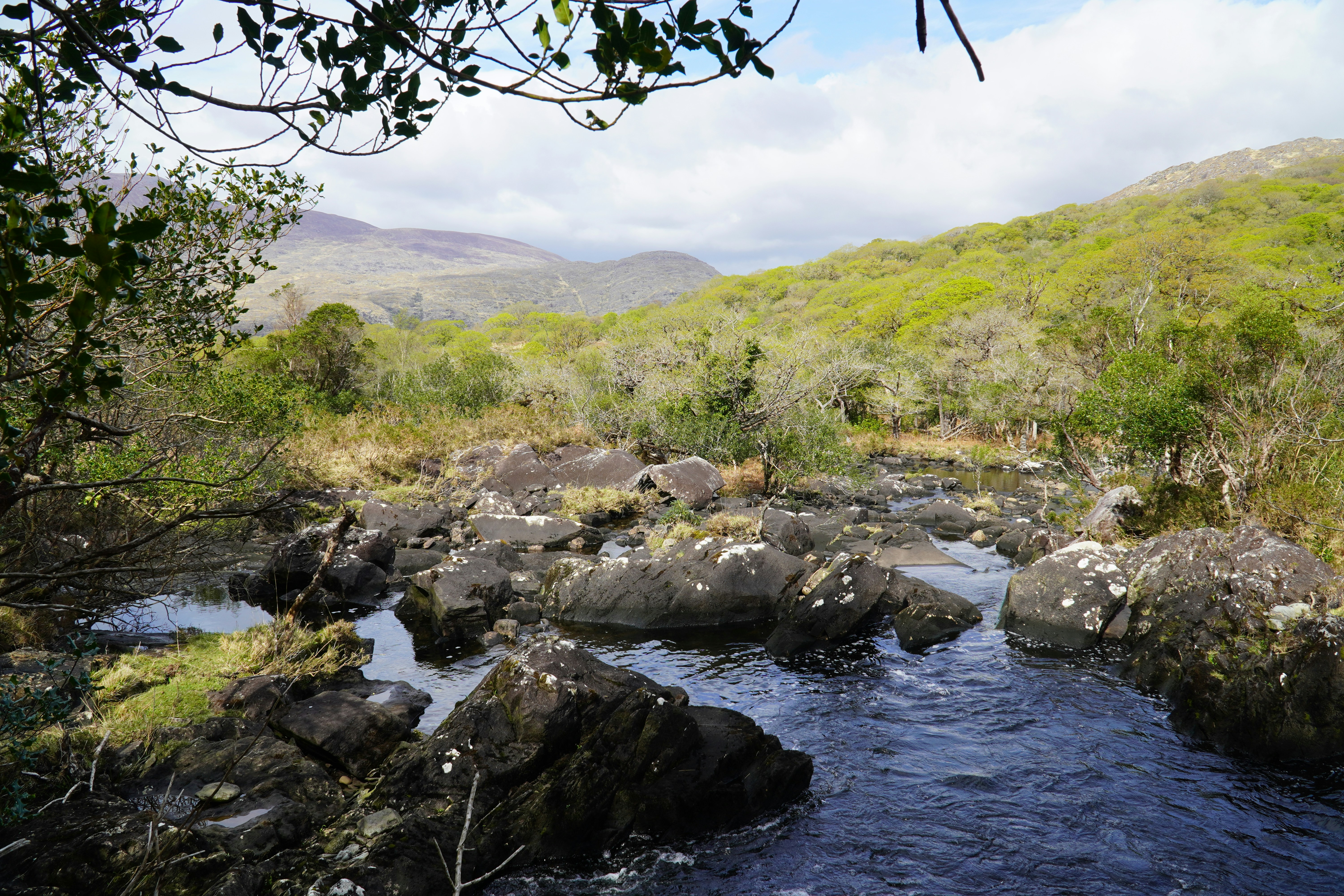 Connemara National Park
