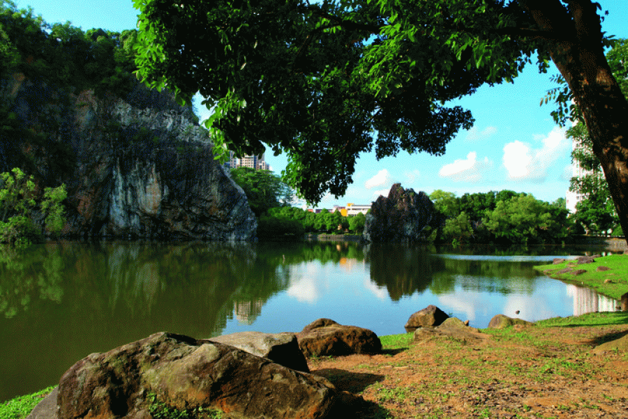 Bukit Batok Nature Park