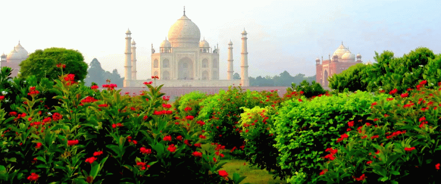 AGRA