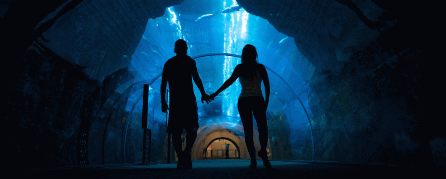 Dubai Aquarium