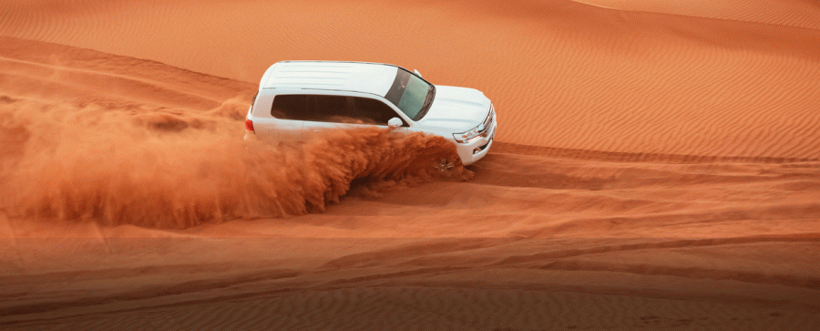 Dubai Desert Safari