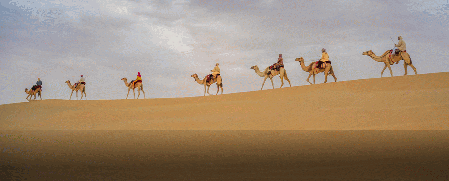 Dubai Desert Safari