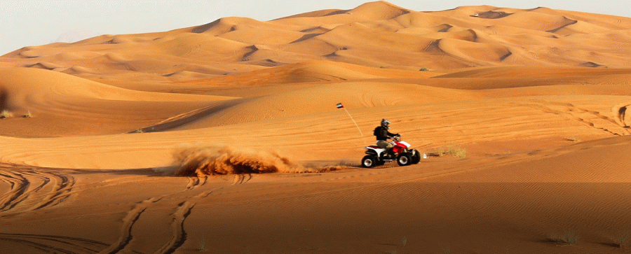 Dubai Desert Safari