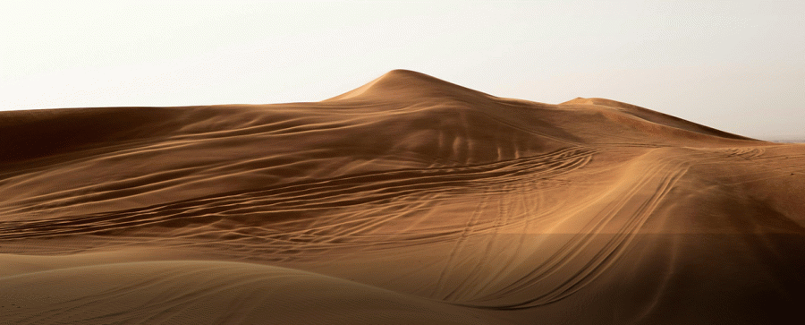 Dubai Desert Safari