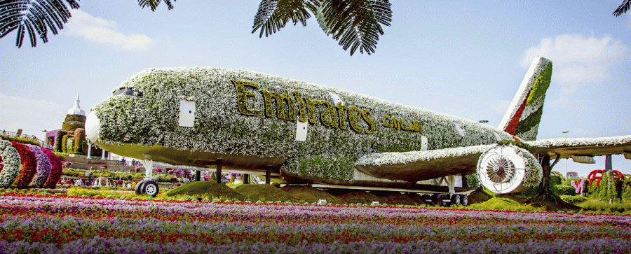 Dubai Miracle Garden